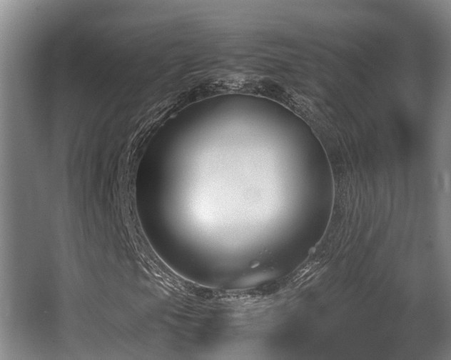 X0000062831105200601171412