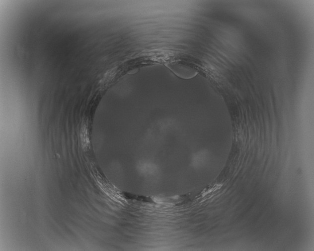 X0000062831106200601171412