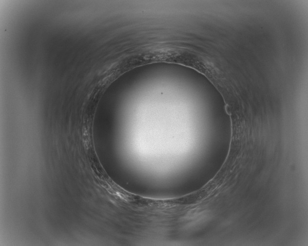 X0000062831109200601171412