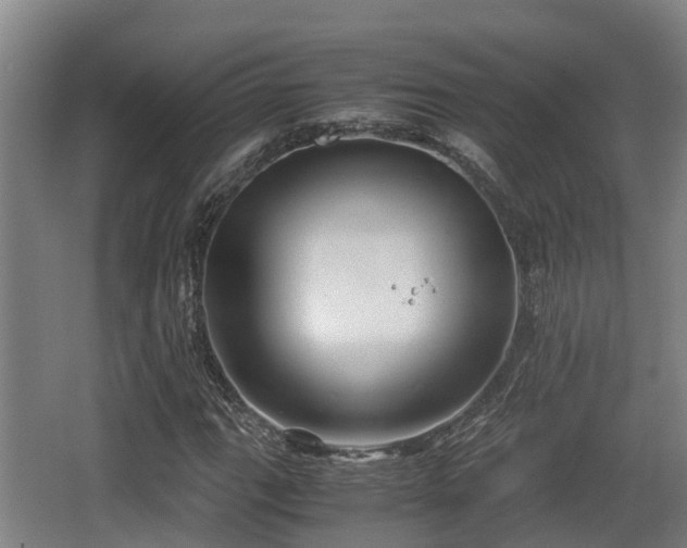 X0000062831111200601171412