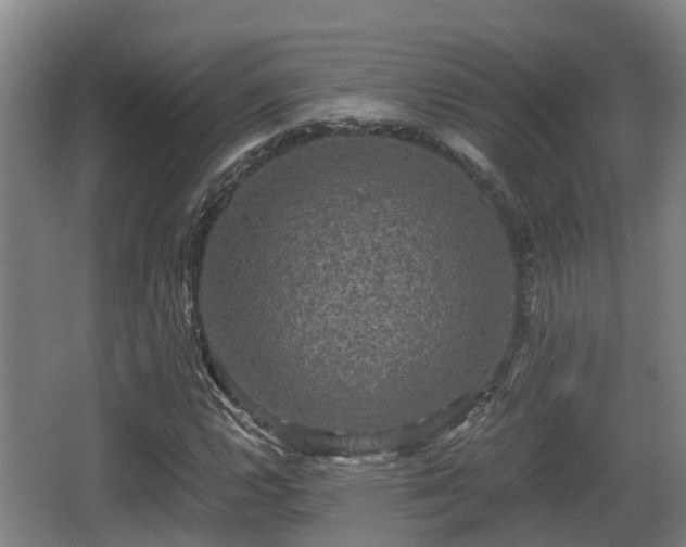 X0000062831112200601171412