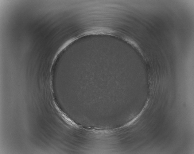 X0000062831114200601171412