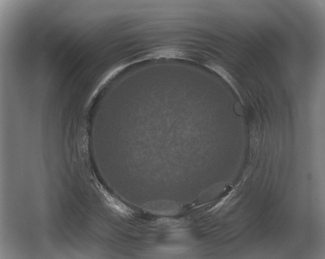 X0000062831115200601171412