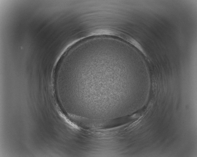 X0000062831116200601171412