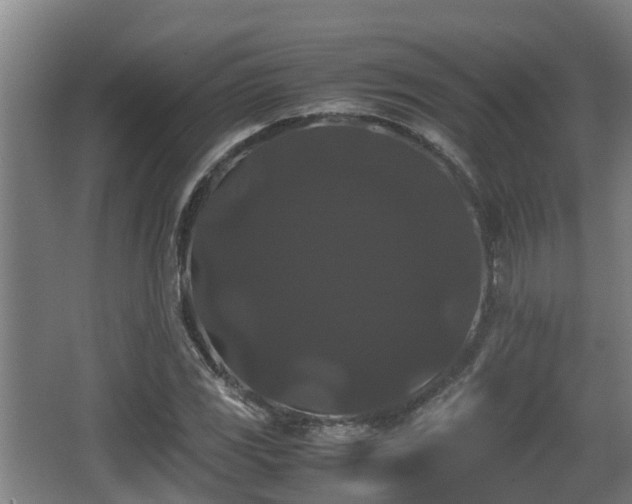 X0000062831117200601171412