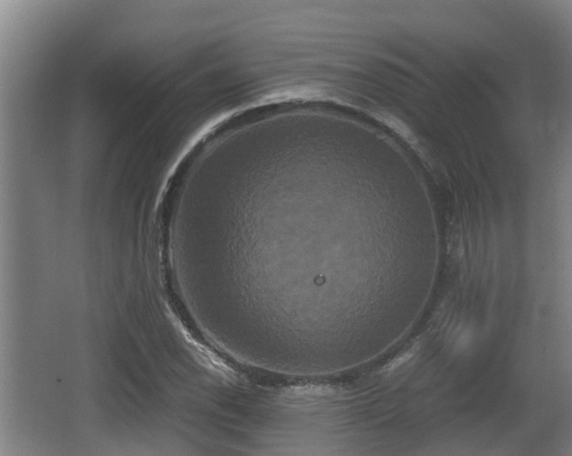 X0000062831118200601171412