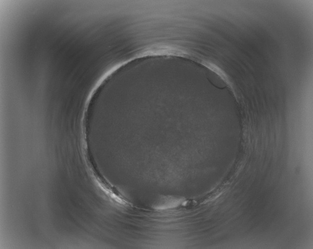 X0000062831120200601171412