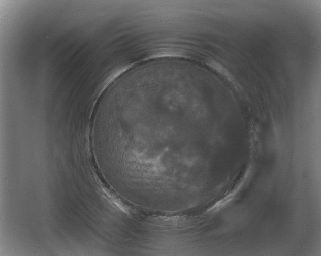 X0000062831121200601171412