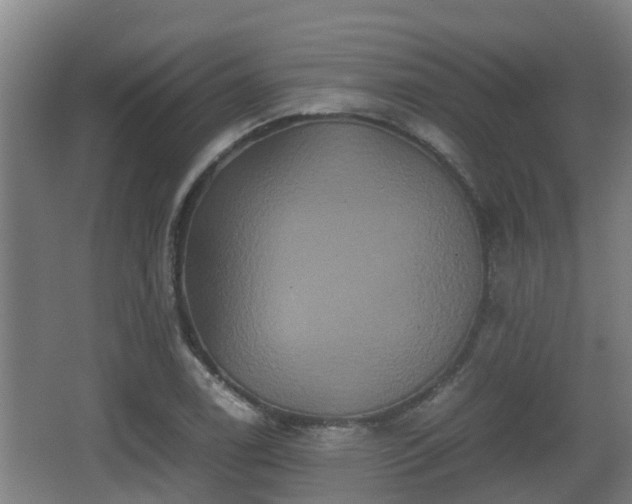 X0000062831122200601171412