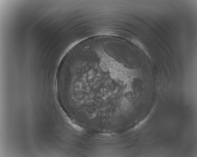 X0000062831125200601171412