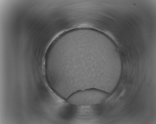 X0000062831126200601171412