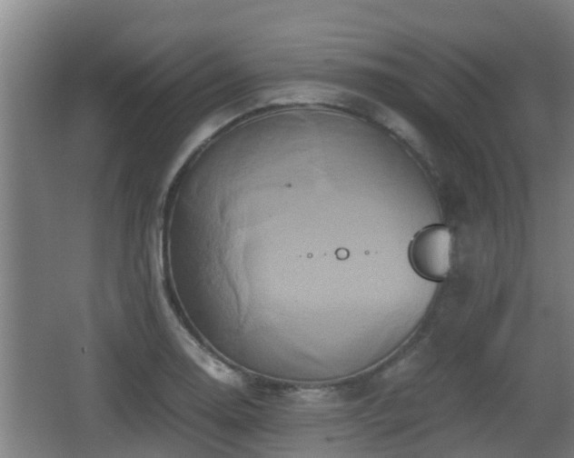 X0000062831130200601171412