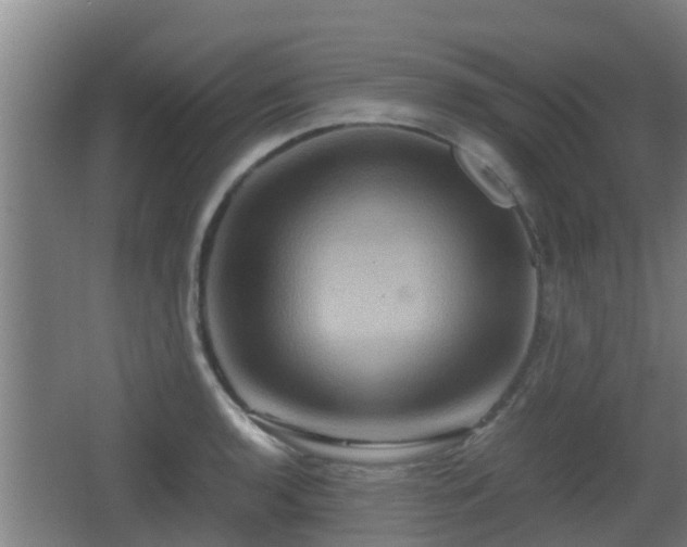 X0000062831136200601171412