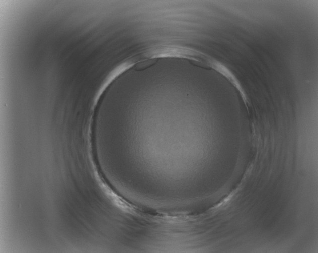 X0000062831138200601171412