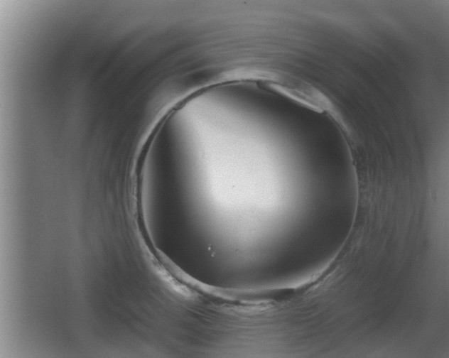 X0000062831140200601171413