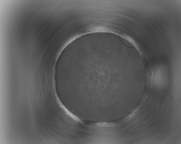 X0000062831142200601171413