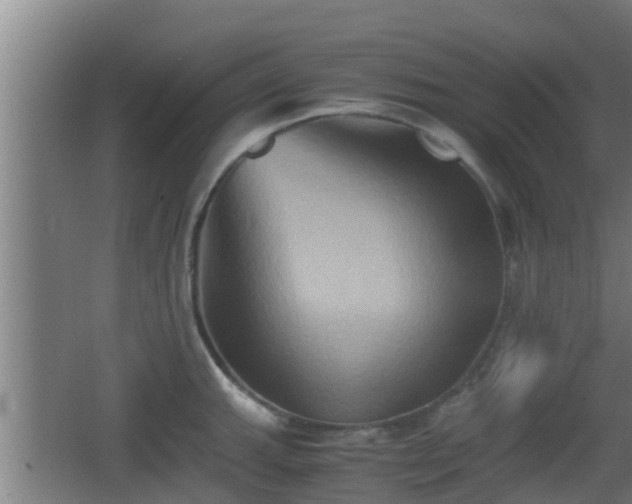 X0000062831143200601171413