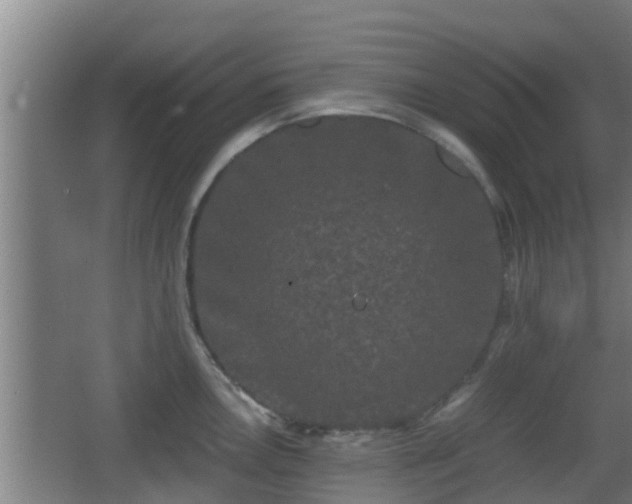 X0000062831146200601171413