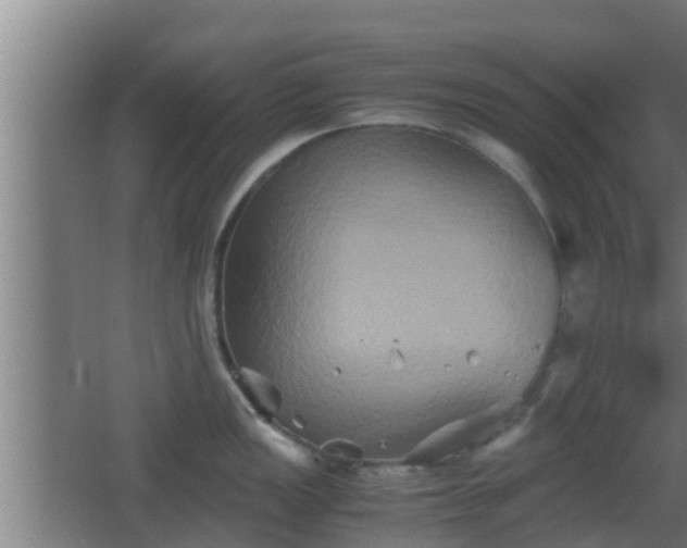 X0000062831149200601171413