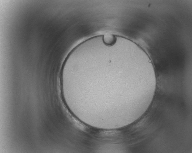 X0000062831150200601171413