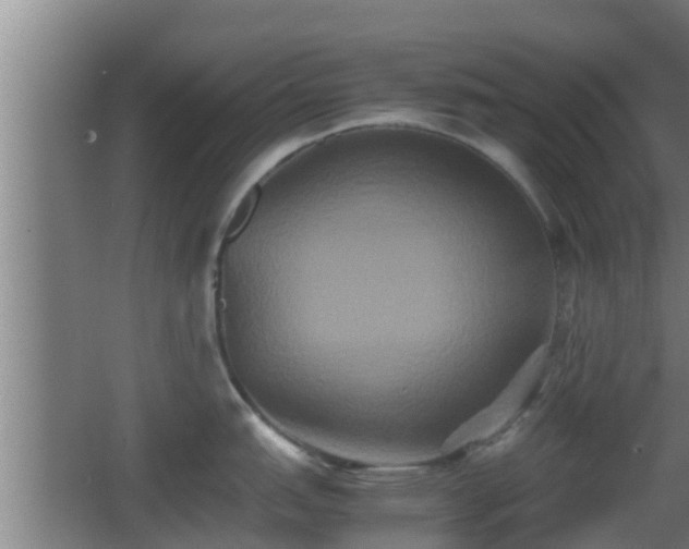 X0000062831151200601171413