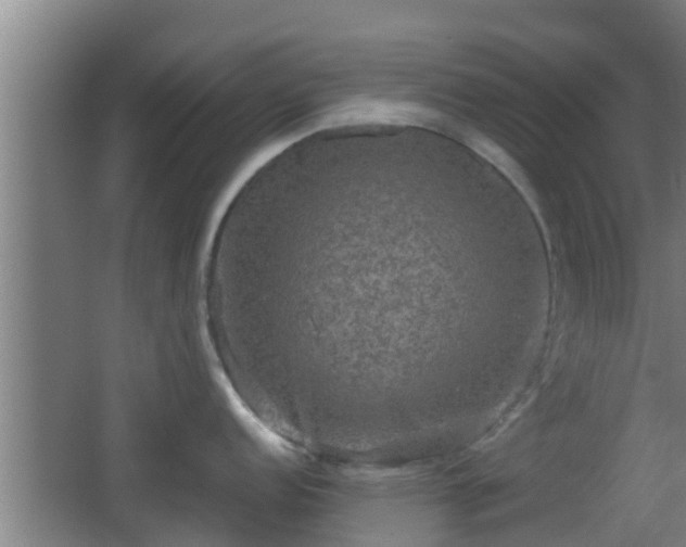 X0000062831152200601171413