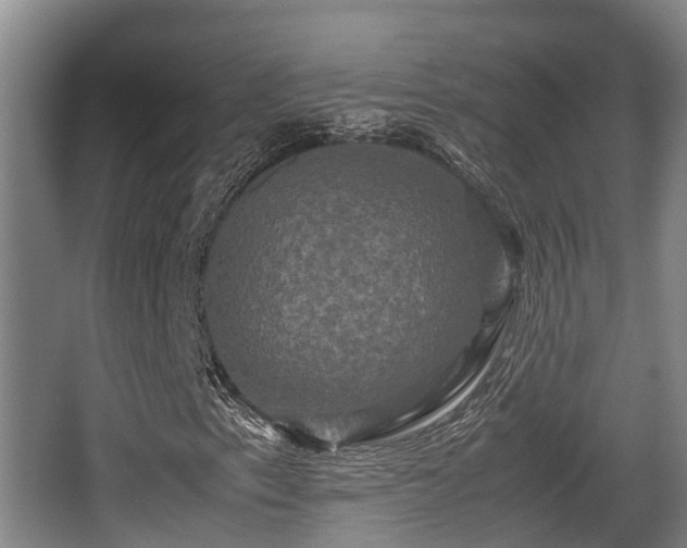 X0000062831153200601171412