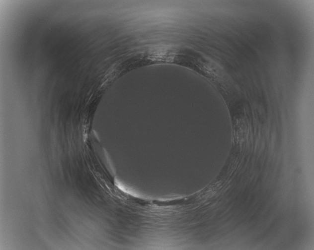 X0000062831154200601171412