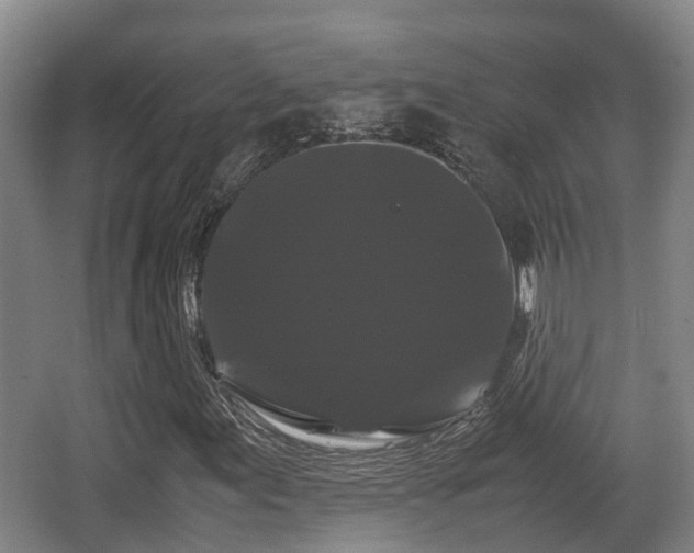 X0000062831155200601171412