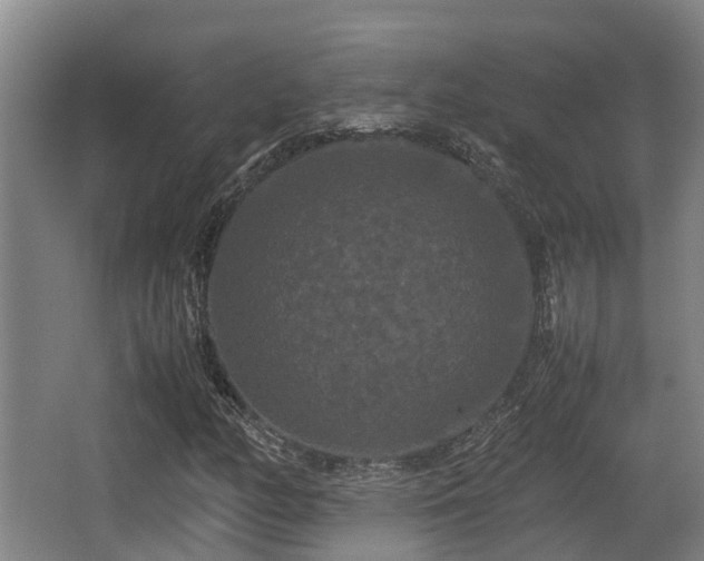 X0000062831158200601171412