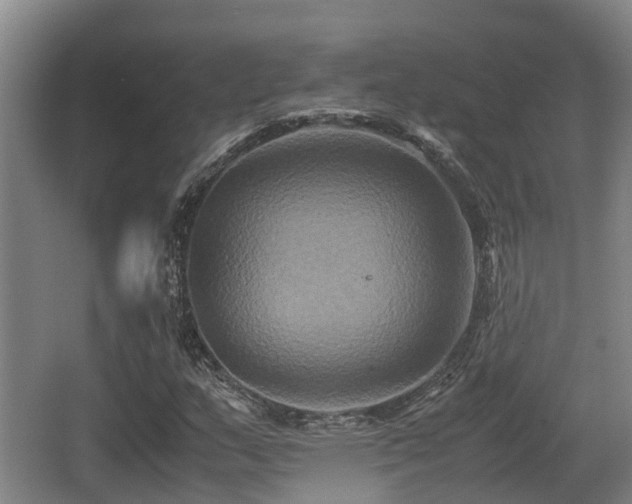 X0000062831159200601171412