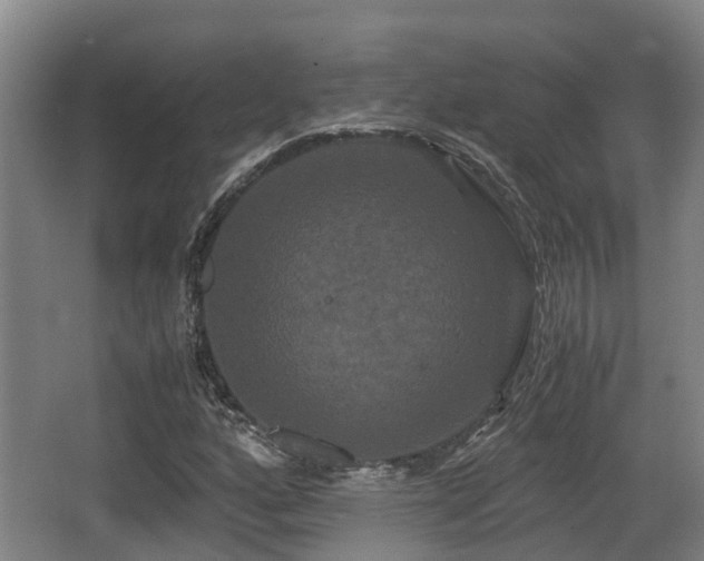 X0000062831160200601171412