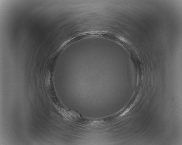 X0000062831161200601171412