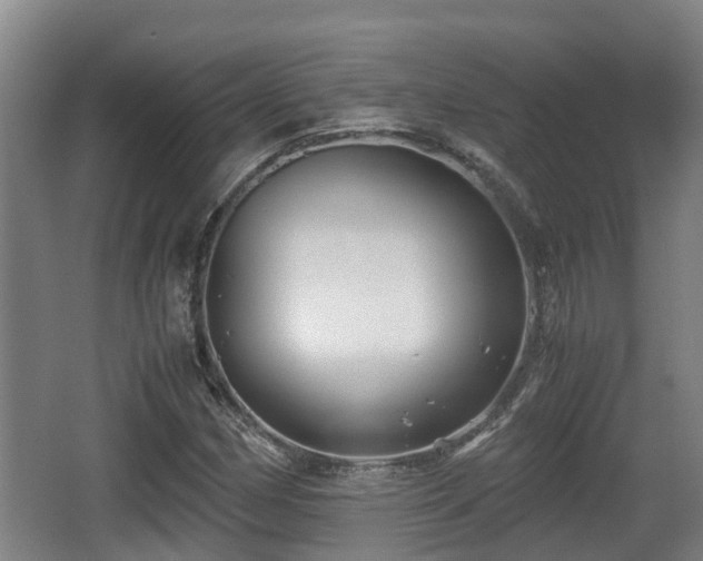 X0000062831162200601171412