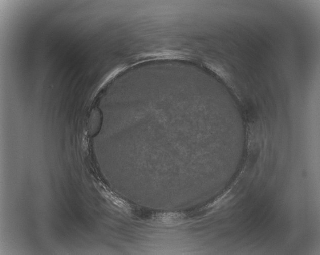 X0000062831163200601171412