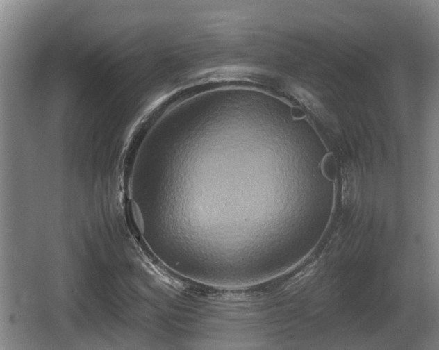 X0000062831164200601171412