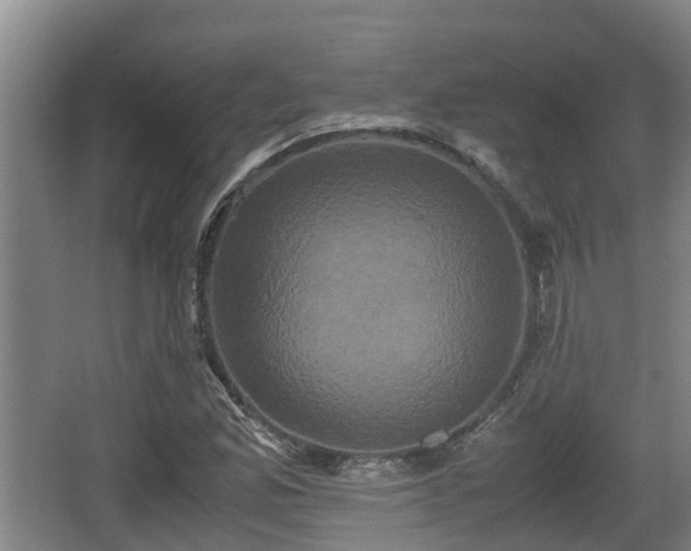 X0000062831165200601171412