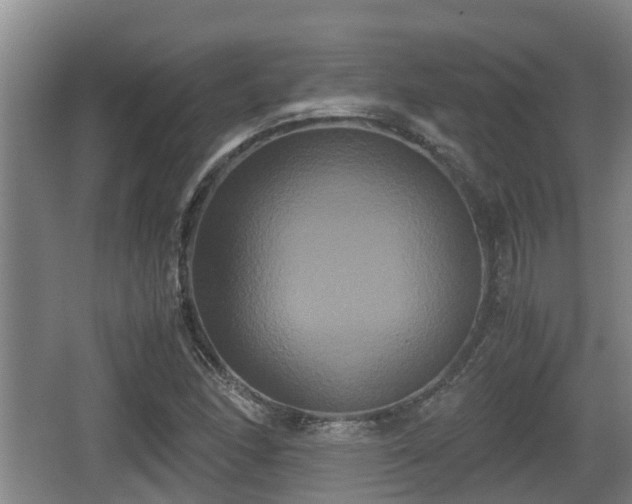 X0000062831166200601171412