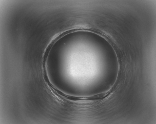 X0000062831168200601171412