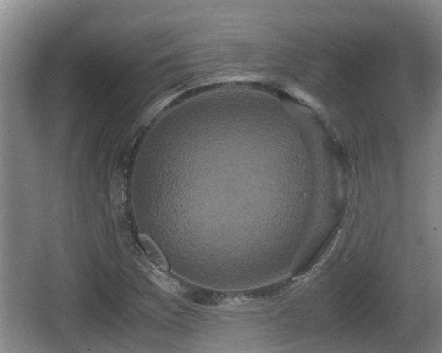 X0000062831169200601171412