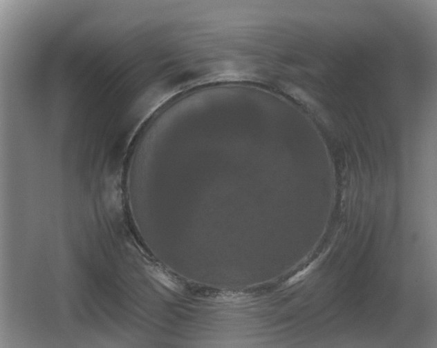 X0000062831170200601171412