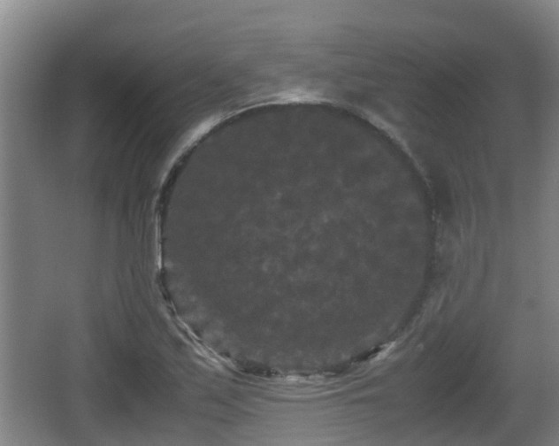 X0000062831171200601171412