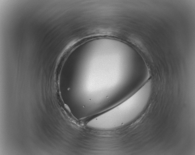 X0000062831172200601171412