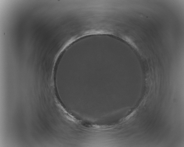 X0000062831173200601171412