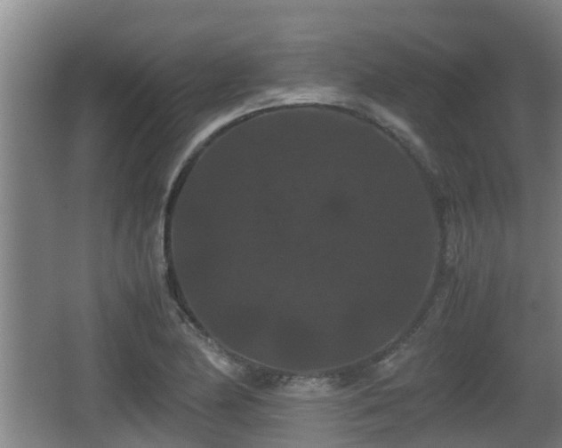 X0000062831174200601171412