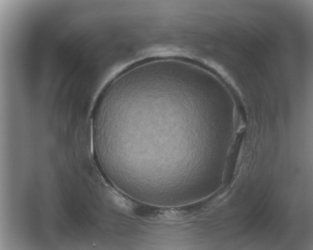 X0000062831175200601171412