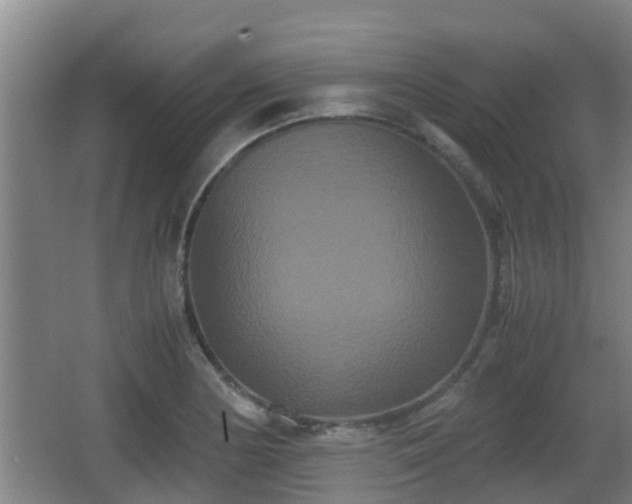 X0000062831178200601171411