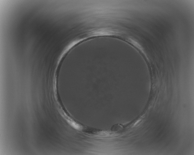 X0000062831179200601171411