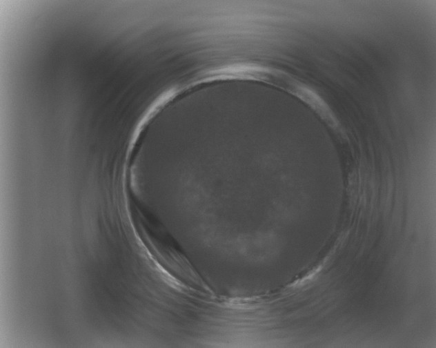 X0000062831180200601171411