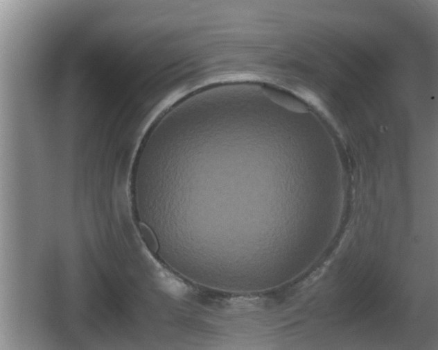 X0000062831181200601171411